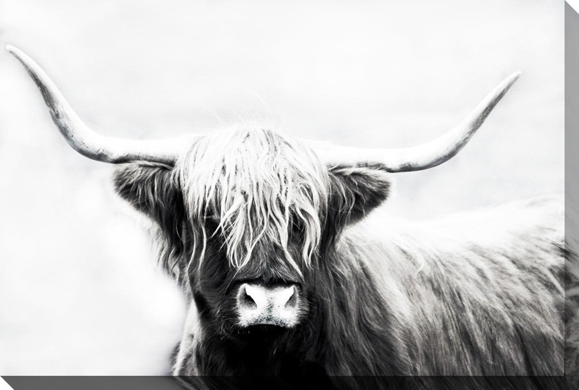 Bryan Wall Art - White/Black - 60 X 38