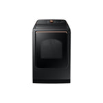 Samsung Black Stainless Smart Electric Dryer with Pet Care Dry (7.4cu.ft) - DVE54CG7550VAC