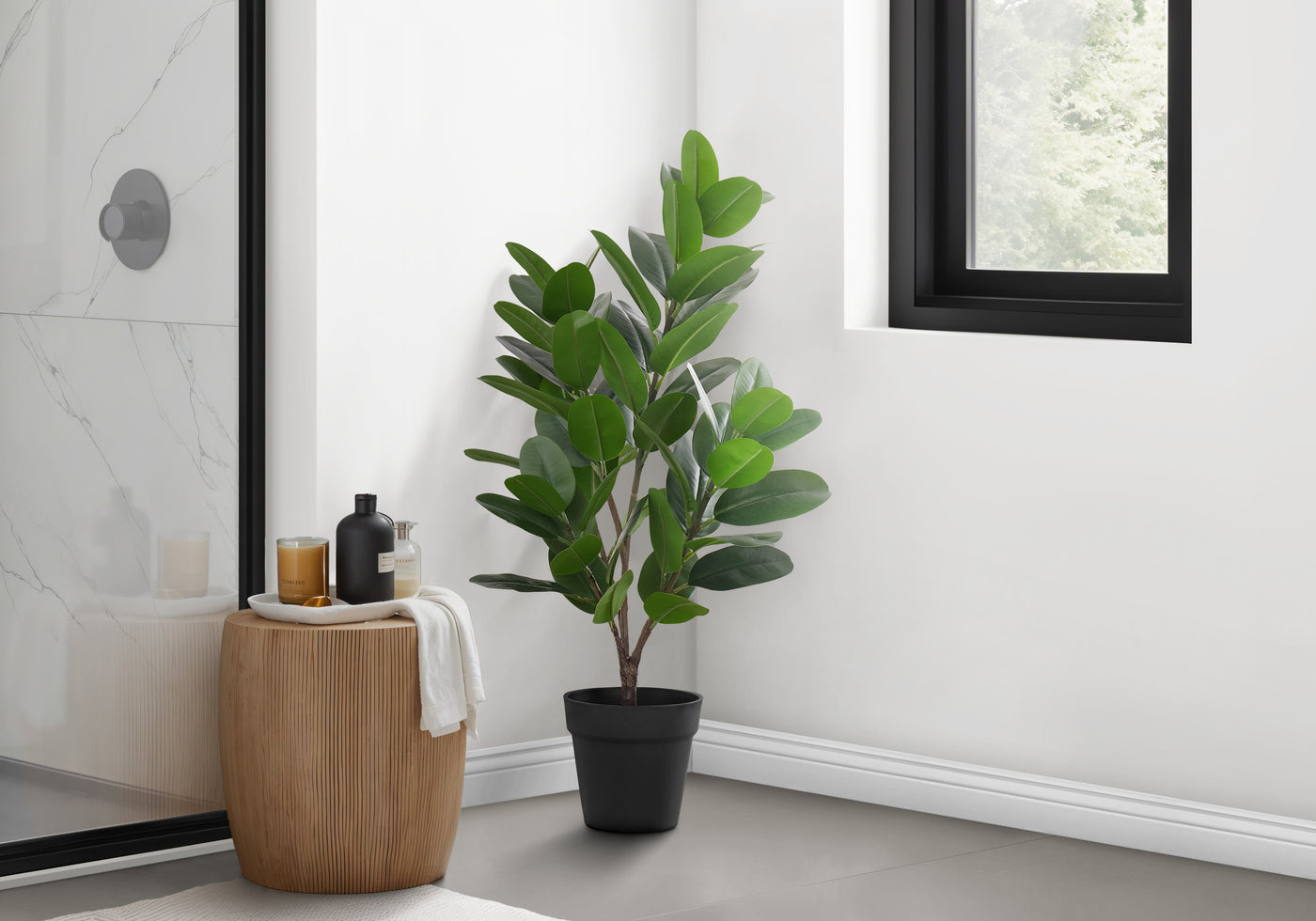 28" Garcinia Plant With 5" Black Pot - Green