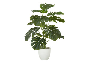 24" Monstera Plant with 5" White Pot - Green - Set of Two
