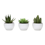 6" Succulent Plant with White Pot - Green - Set of 3