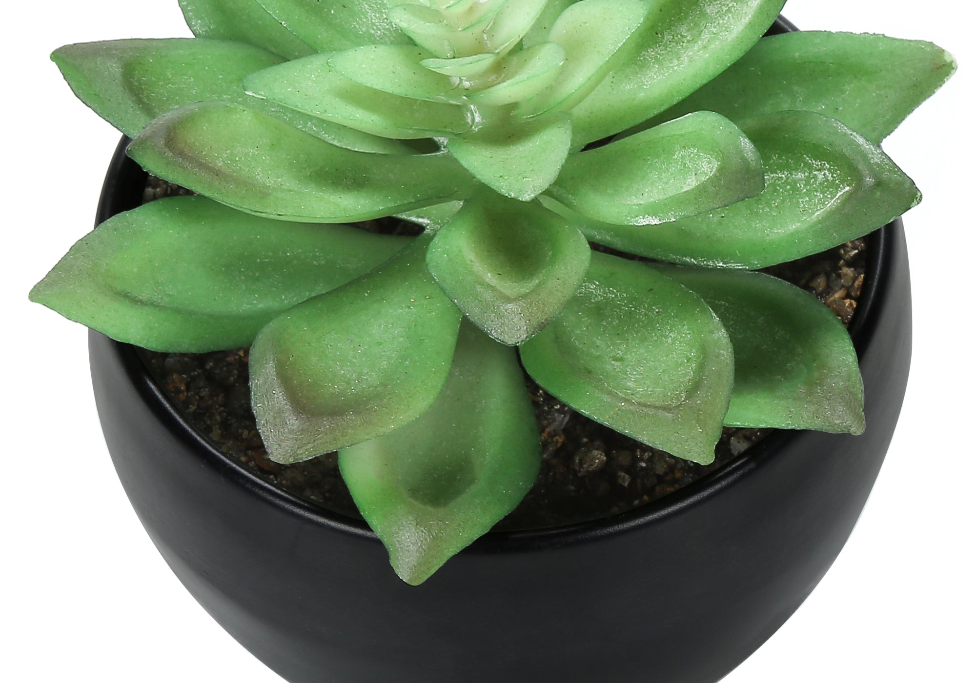 6" Succulent Plant with Black Pot - Green - Set of 3
