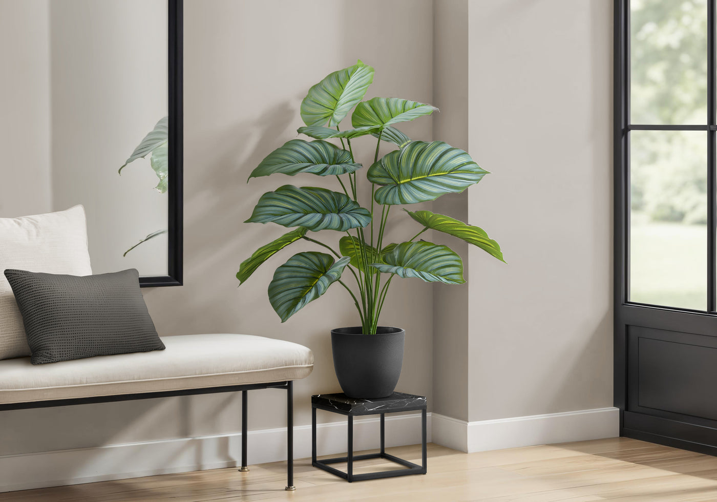 24" Calathea Plant With 5" Black Pot - Green