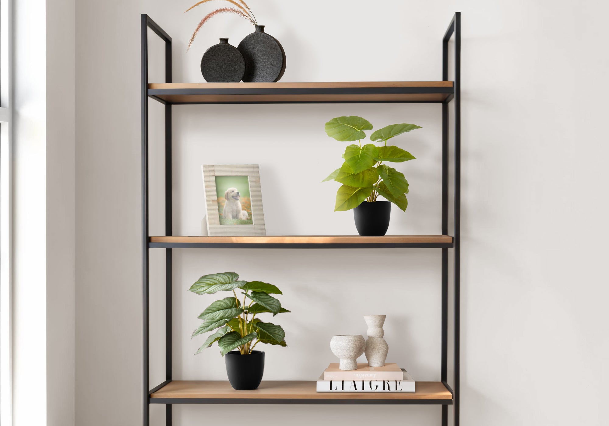 13" Epipremnum Plant With 4" Black Pot - Green - Set Of Two