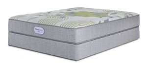 BeautySleep Max Calm Tight Top Firm Twin Mattress and Boxspring Set