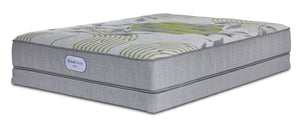 BeautySleep Max Calm Tight Top Firm Twin Mattress and Low Profile Boxspring Set