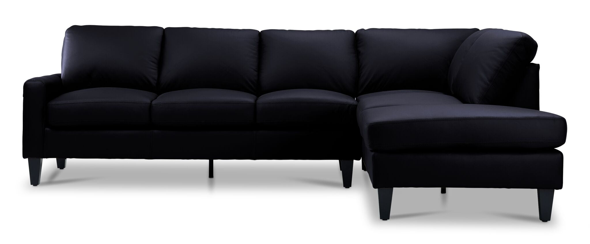 Chito Leather 2-Piece Sectional with Right Facing Chaise - Raven