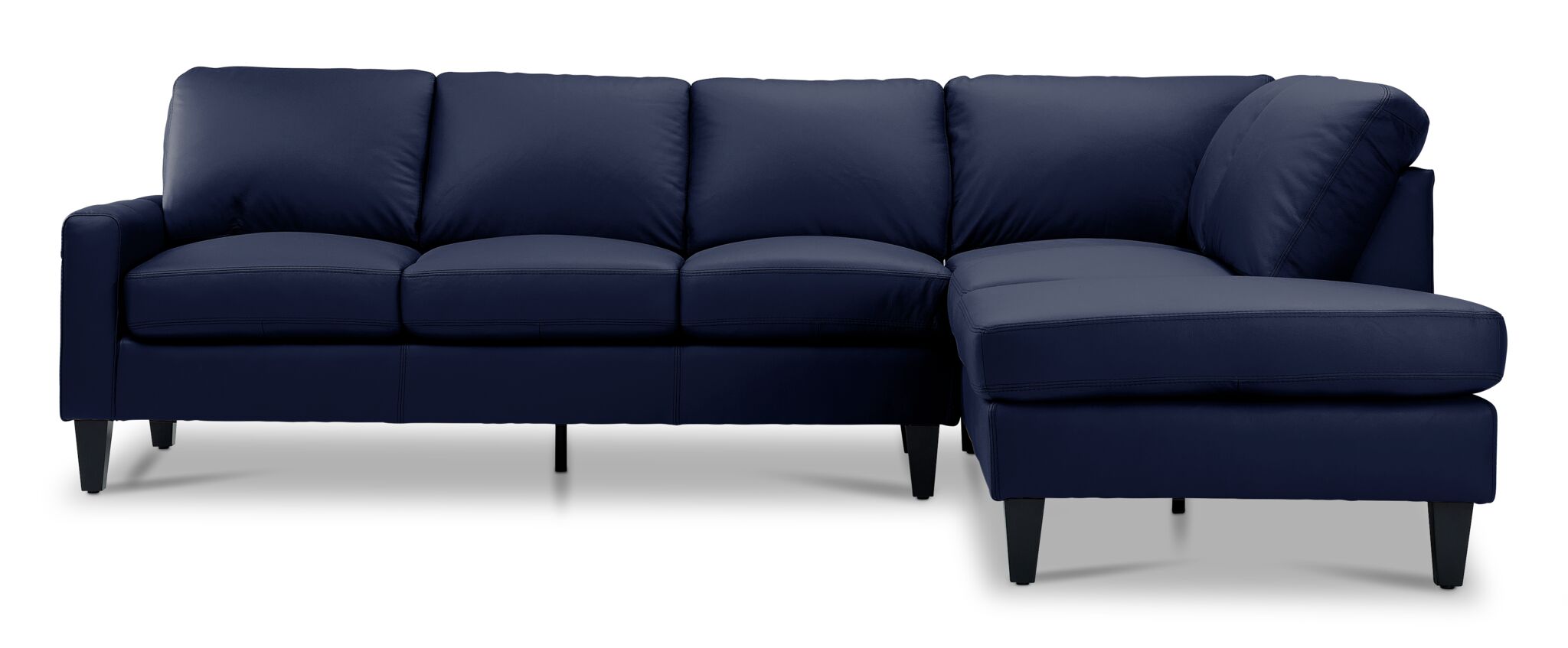 Chito Leather 2-Piece Sectional with Right Facing Chaise - Navy