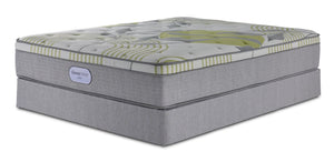 In Full Bloom - BeautySleep Max Drift Euro Top Medium Queen Mattress and Boxspring Set