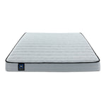 Sealy® Essentials Evan II Medium Full Mattress