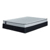 Sealy® Essentials Evan II Medium Queen Mattress and Split Boxspring