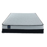 Sealy® Essentials Evan II Medium Queen Mattress and Low-Profile Boxspring