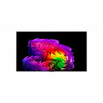 LG 55" 4K Smart OLED Evo AI G6 4K Smart TV With Wall Mount - OLED55G6WUA.ACC