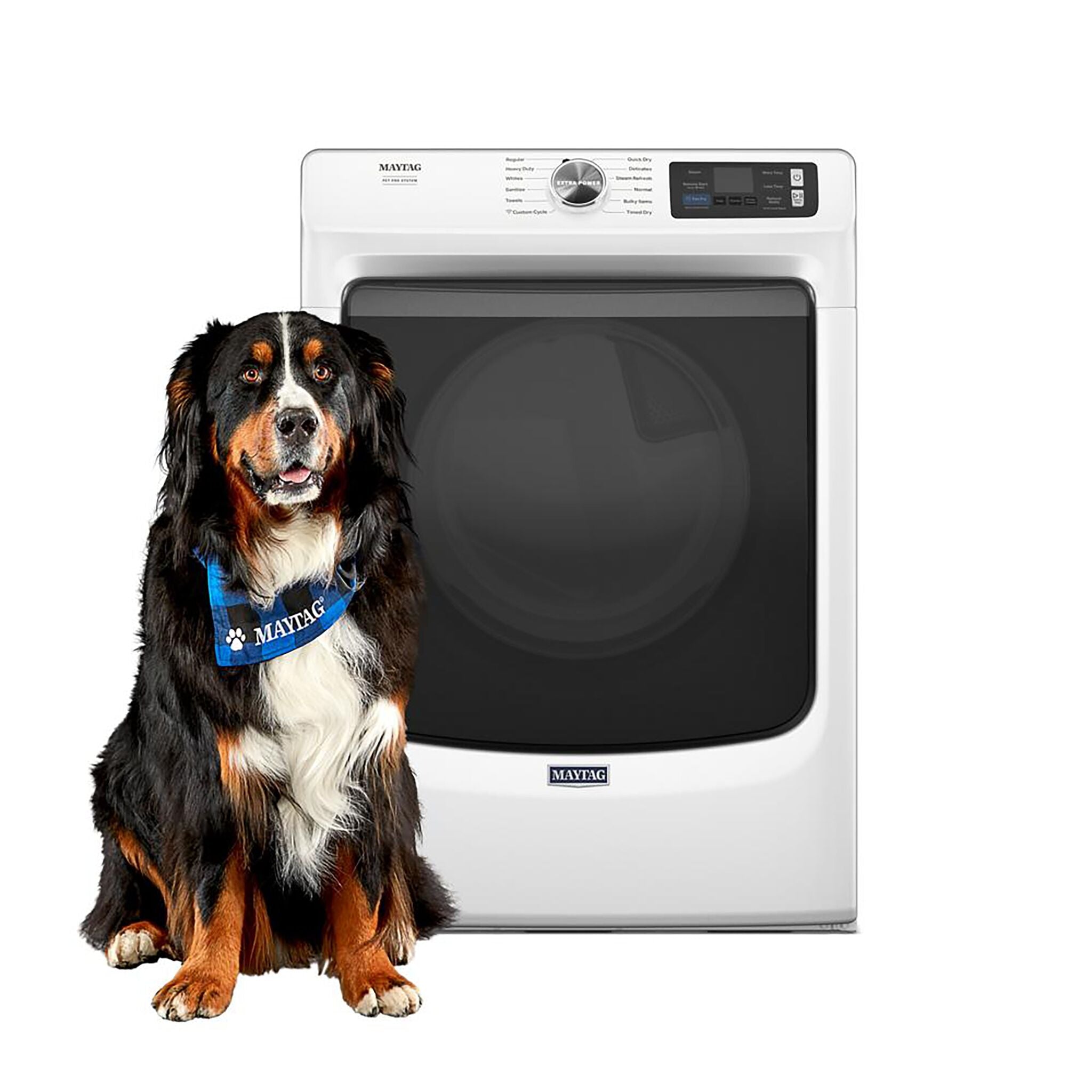 Maytag White Electric Dryer with Pet Pro (7.4 Cu.Ft.) - YMED7020RW