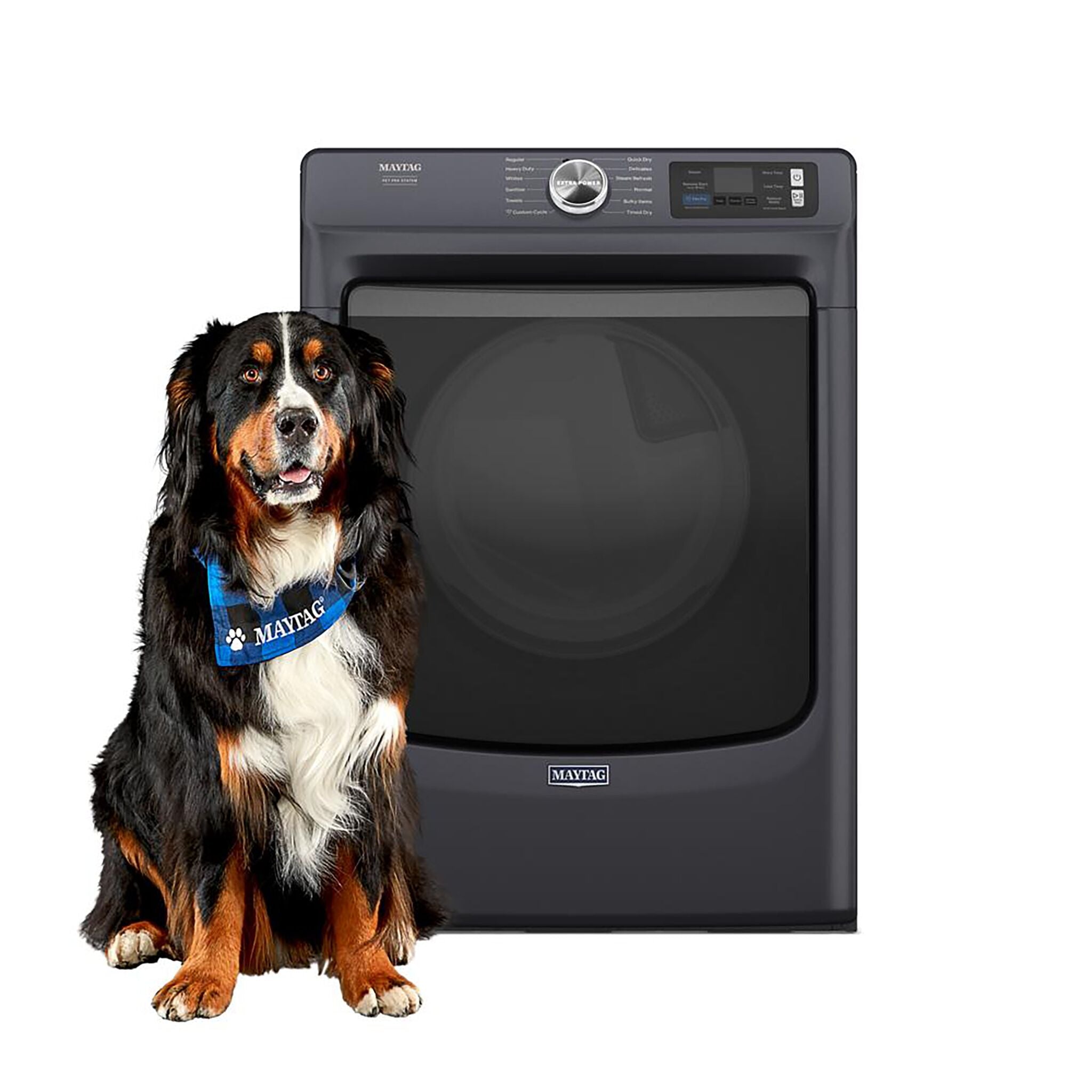 Maytag Midnight Steel Gas Dryer with Pet Pro (7.4 Cu.Ft.) - MGD7020RF