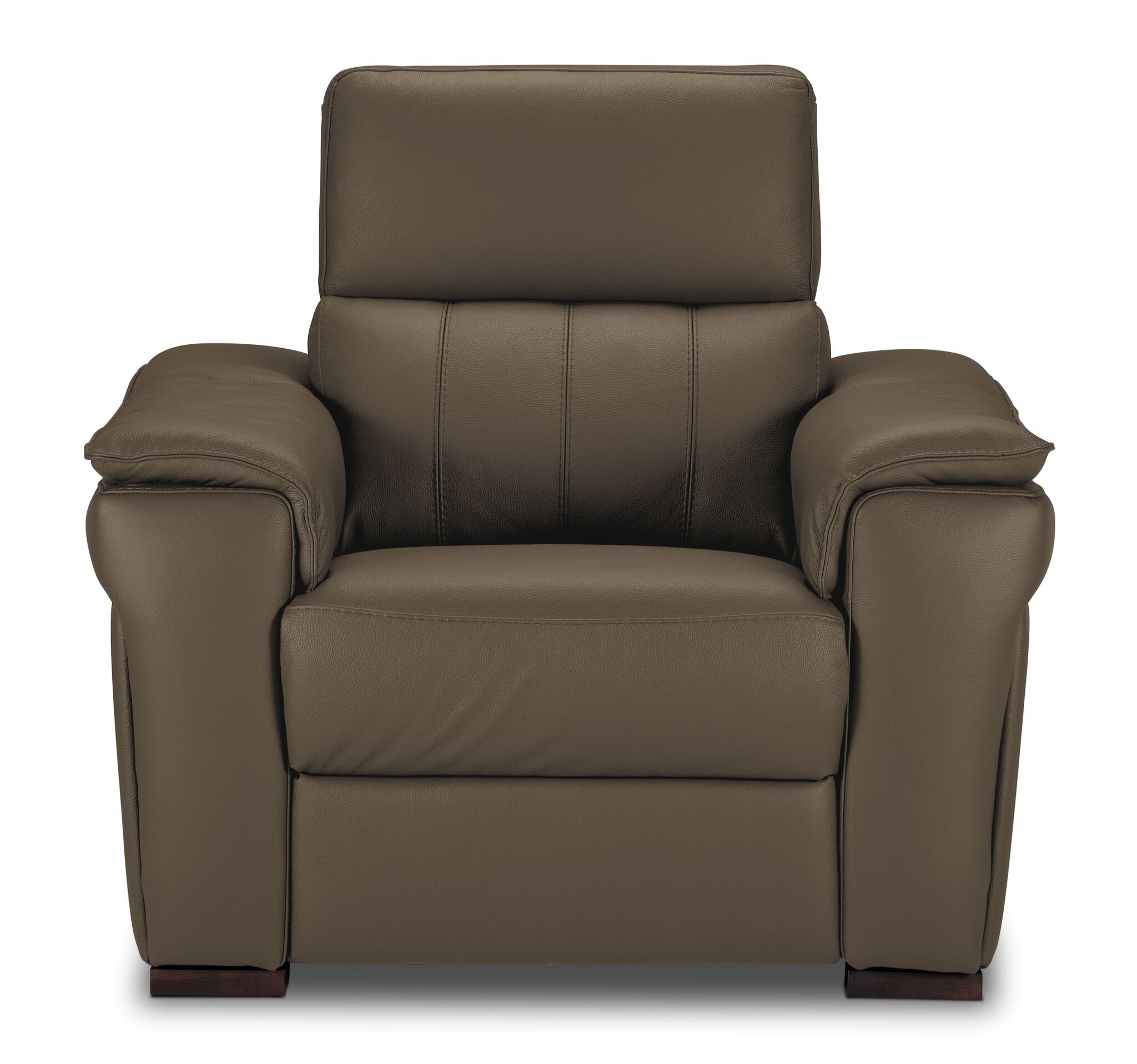 Orlando-Ray Leather Chair - Taupe