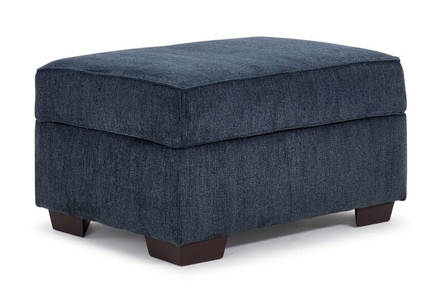 Renzo Storage Ottoman - Skylight