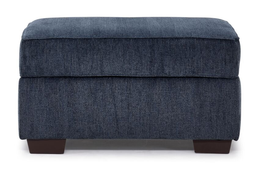 Renzo Storage Ottoman - Skylight