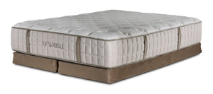 Tuft & Needle Toile Tight Top Firm Queen Mattress and Low Profile Split Boxspring Set