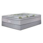 Beautyrest Max+ Valley Euro Top Plush Queen Mattress and Boxspring Set