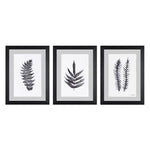 Benalla Wall Art - Set of 3 - Black