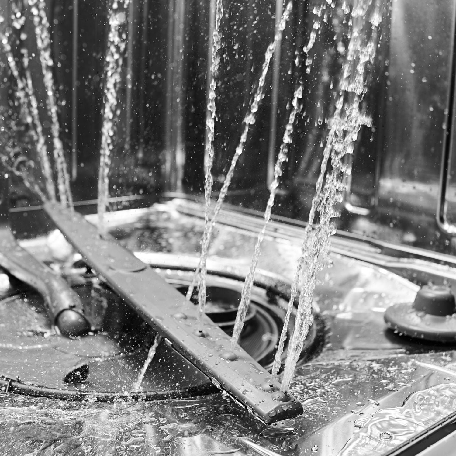 Whirlpool Stainless Steel 24" Dishwasher (50 dBA) - WDF560SAFM