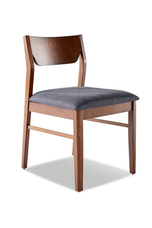 Lenard Side Chair - Smoke