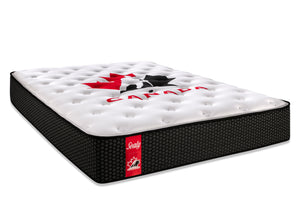 Sealy Hockey Canada Home Cushion Firm Twin Mattress
