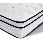 Sealy® Essentials Prodigy Medium Queen Mattress
