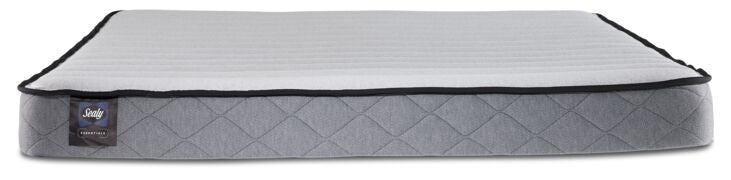 Sealy® Essentials Evan Medium Twin Mattress and Boxspring Set