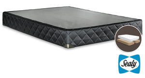 Sealy Elementary Twin XL Boxspring