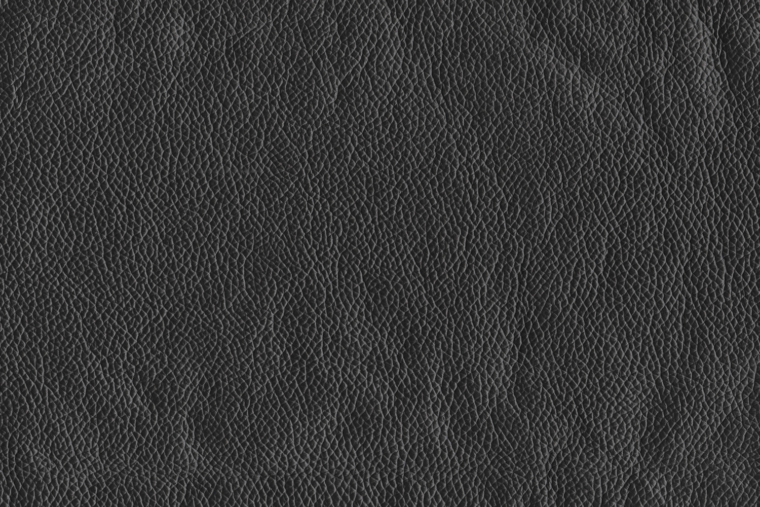 Braylon Leather Chair - Classic Black