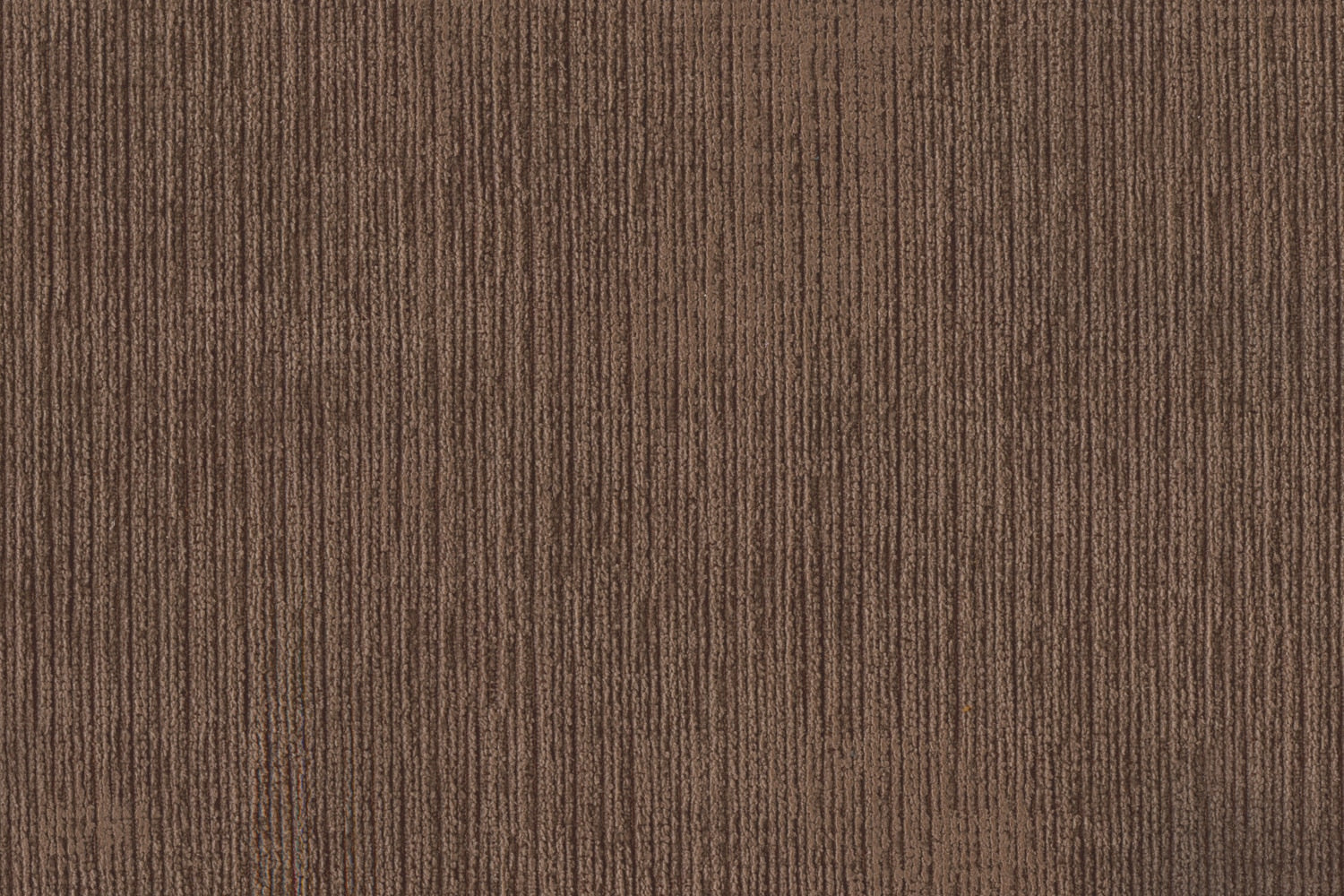 Crizia Chair - Coffee