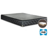 Sealy Elementary Queen Split Boxspring