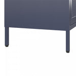 Channing 2 Door Storage Cabinet with Mesh Metal - Navy
