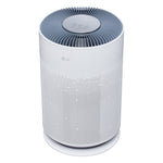 LG PuriCare™ 360 with NanoFiber True HEPA - AS601HBB0.AWHCIL