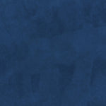 Daphne Upholstered Twin Daybed with Twin Trundle - Blue Velvet