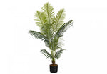 47" Palm Tree With 5" Black Pot - Green