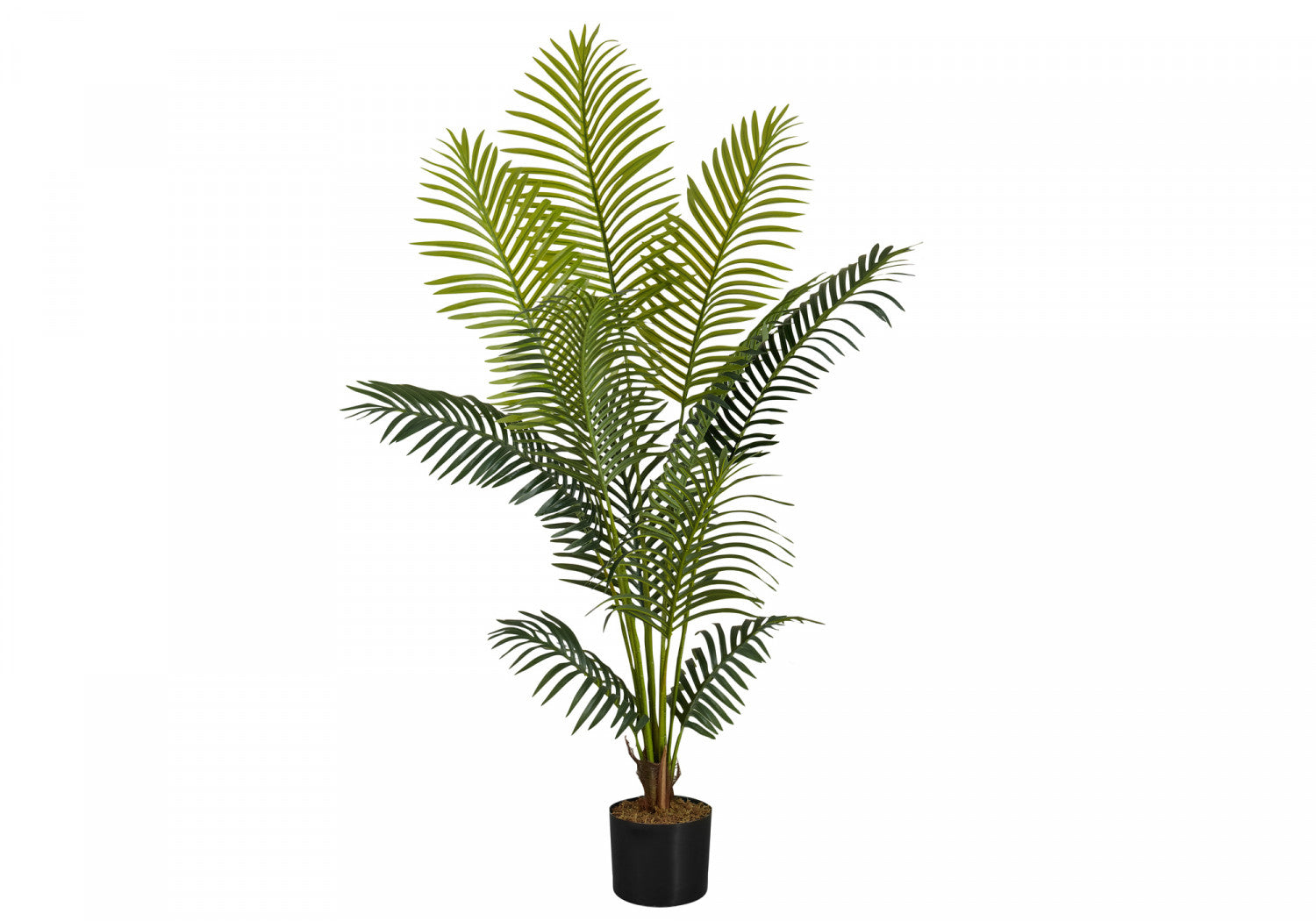 47" Palm Tree With 5" Black Pot - Green