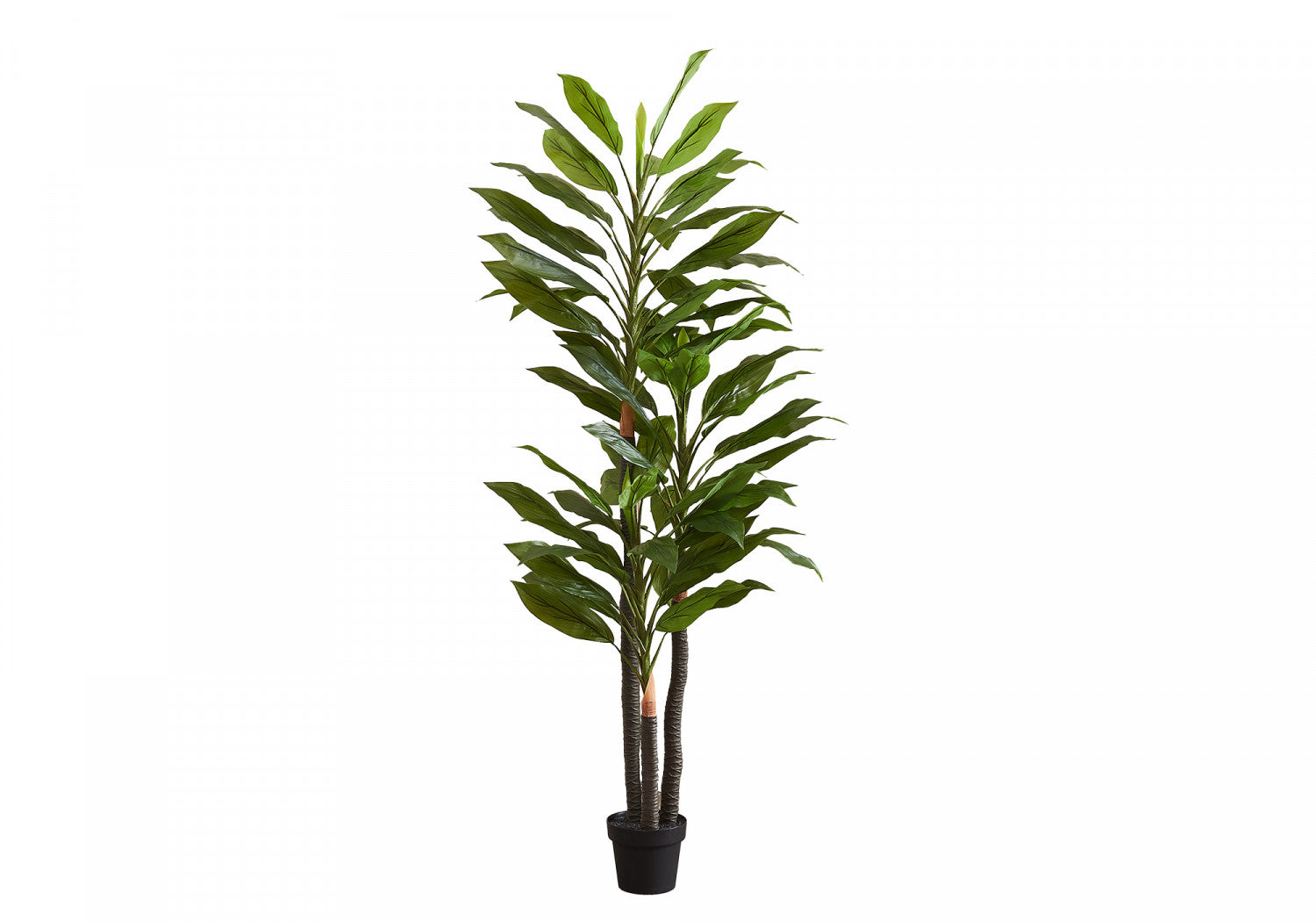 83" Dracaena Tree With 8" Black Pot - Green
