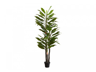 83" Dracaena Tree With 8" Black Pot - Green