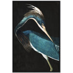 Twilight Feathers I Wall Art - Teal - 48 X 32