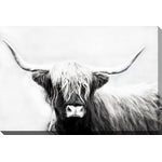 Stark Stare Wall Art - Black/White - 16 X 20