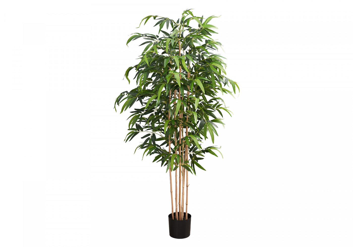 83" Bamboo Tree With 8" Black Pot - Green