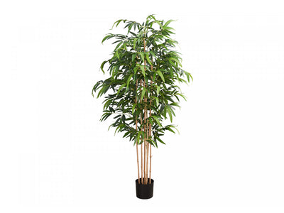 83" Bamboo Tree With 8" Black Pot - Green