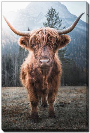 Highland at Dusk Wall Art - Brown - 16 X 20