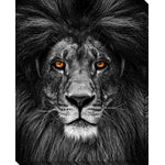 Eyes of the King Wall Art - Black/Grey - 16 X 20