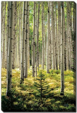 Whispering Grove Wall Art - Green - 22 X 28