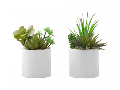 7" Succulent Plant with 3" White Pot - Green - Set of Two