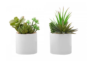 7" Succulent Plant With 3" White Pot - Green - Set of Two